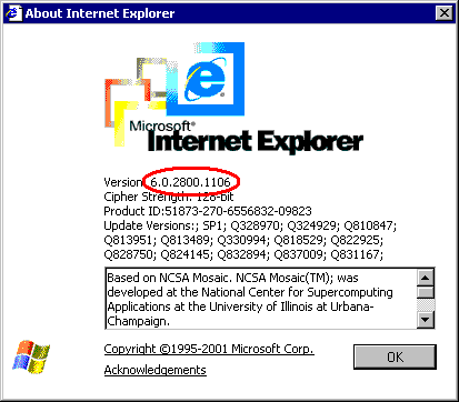 IE6